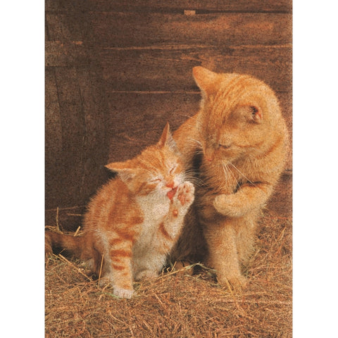 Ginger Cats Cork 500 Piece Jigsaw Puzzle