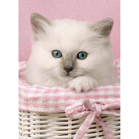 Sweet Kitten Eyes Mini Jigsaw Puzzle