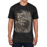 Baby Raccoons Tight Fit Mens Soft T Shirt