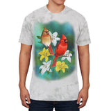 Spring Cardinals Men's Soft T Shirt