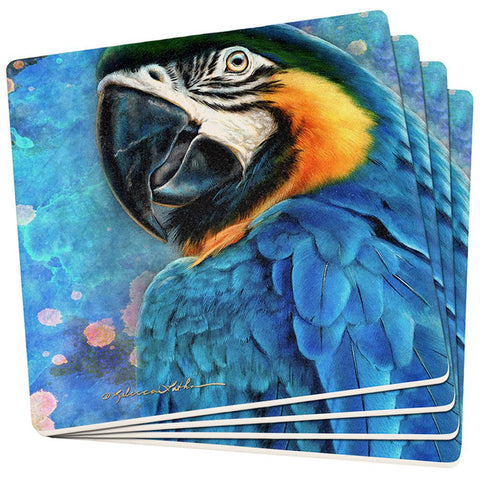Exotic Blue Gold Macaw Set of 4 Square Sandstone Coasters