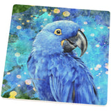 Blue Hyacinth Macaw Splatter Square Sandstone Coaster