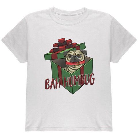 Christmas Bah Humpug Grumpy Scrooge Pug Gift Youth T Shirt