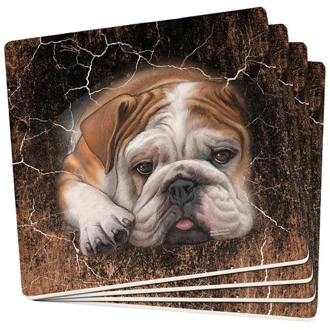 English Bulldog Live Forever Set of 4 Square Sandstone Coasters