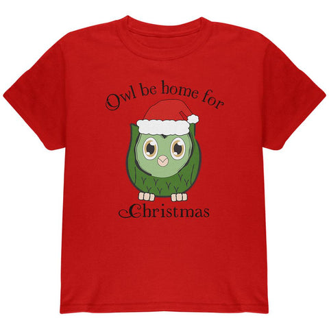 Owl I'll Be Home For Christmas Cute Funny Pun Youth T Shirt