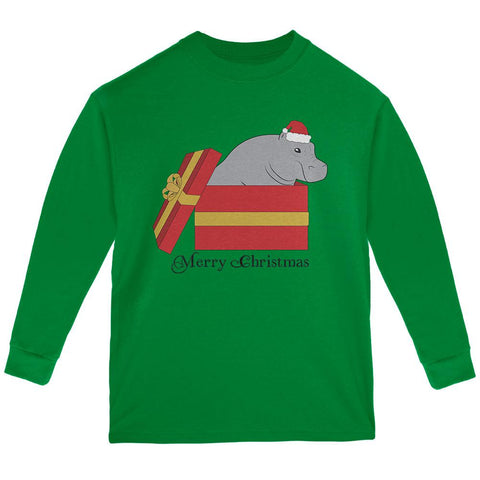 Merry Christmas Hippo Hippopotamus Cute Youth Long Sleeve T Shirt