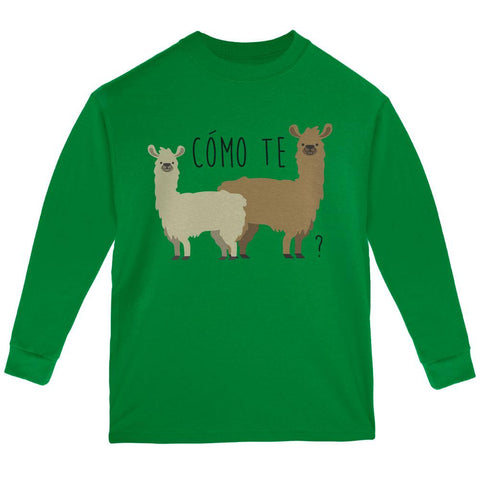 Como Te Llamas Funny Llama Pun Youth Long Sleeve T Shirt