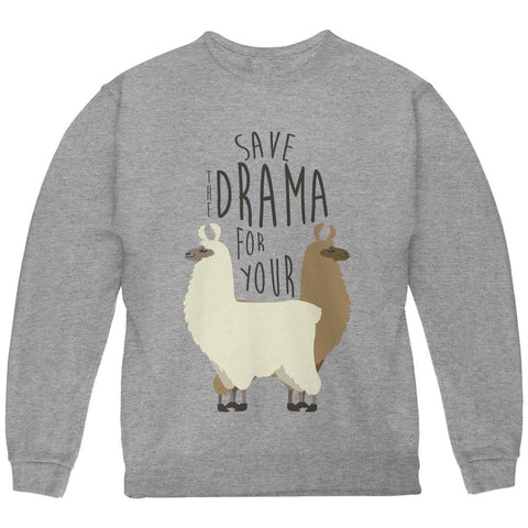 Save the Drama for Your Llama Pun Youth Sweatshirt