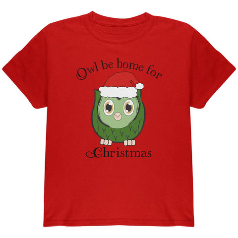 Owl I'll Be Home For Christmas Youth T Shirt