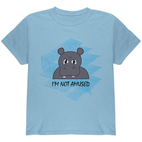 Hippo Not Amused Funny Youth T Shirt