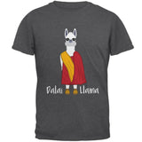 Funny Dalai Lama Llama Pun Mens T Shirt