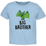 Big Brother Dino Dinosaur Pterodactyl Toddler T Shirt