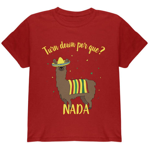 Cinco De Mayo Llama Fiesta Youth T Shirt
