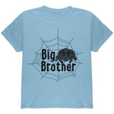 Big Brother Cute Spider Youth T Shirt