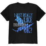 I Just Really Like Dragons Ok Scales Youth T Shirt front view