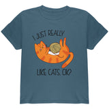 I Just Really Like Cats Ok Cute Youth T Shirt front view