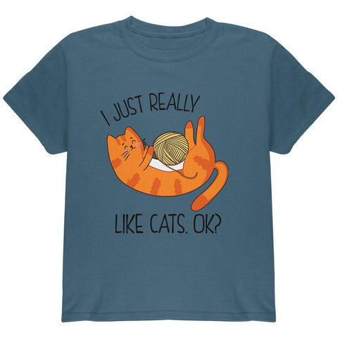 I Just Really Like Cats Ok Cute Youth T Shirt