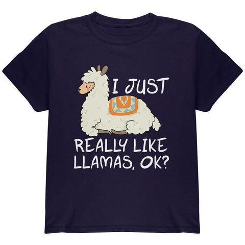 I Just Really Like Llamas Ok Cute Youth T Shirt