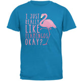 I Just Really Like Flamingos Mens T Shirt