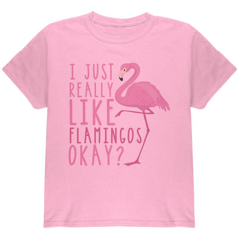 I Just Really Like Flamingos Youth T Shirt