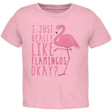 I Just Really Like Flamingos Toddler T Shirt