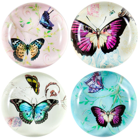 Butterflies In Action Set of Four Glass Magnets
