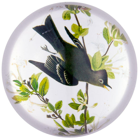 Western Wood Pewee Flying In Branches Glass Paperweight