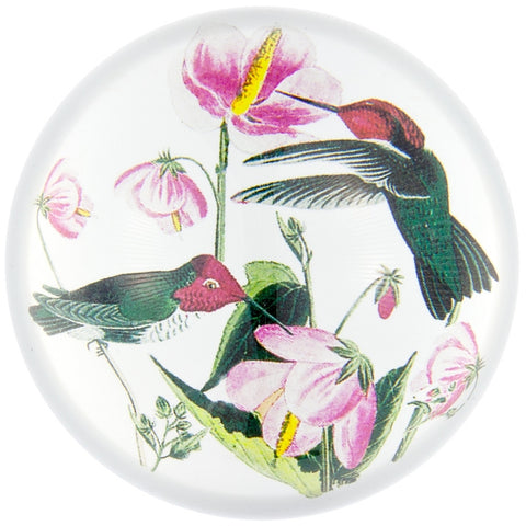 Anna's Hummingbirds In Flowers Glass Paperweight