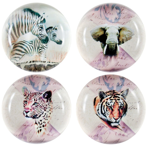 Variety Safari Animals Set Of Four Crystal Magnets