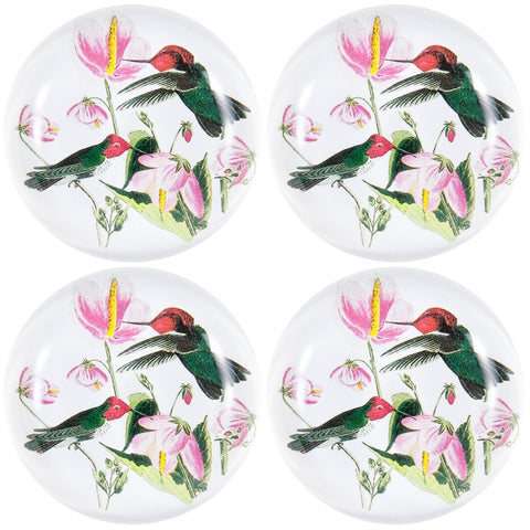 Colombian Hummingbirds In Flowers Set of Four Crystal Magnets