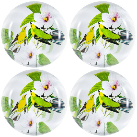 Blue-Winged Warblers In Branches Set Of Four Crystal Magnets