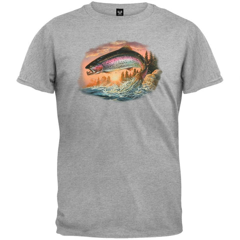 Rainbow Morning Heather Gray T-Shirt