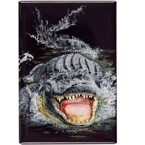 Gator Encounter Refrigerator Magnet