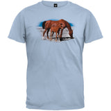 Mare And Foal On Beach T-Shirt