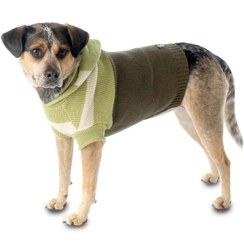 Harley's Olive Stripe Hooded Dog Sweater