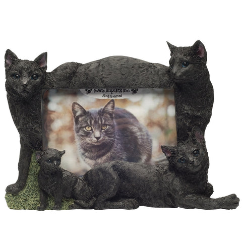 Black Cat Family Large Picture Frame
