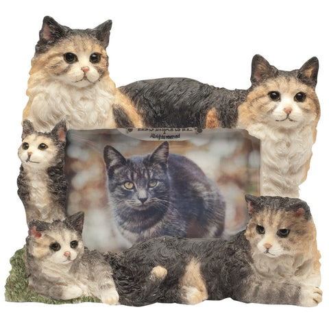 Maine Coon Cat Family Large Picture Frame
