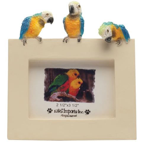 Macaw Trio Perched Small Picture Frame