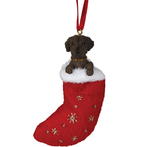 Chocolate Labrador in Stocking Christmas Ornament
