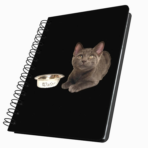Kitten & Water Dish Medium Acrylic Journal