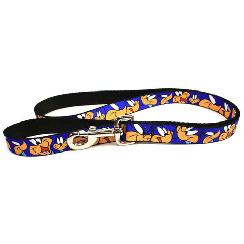Looney Tunes - Road Runner Expressions Dog Leash