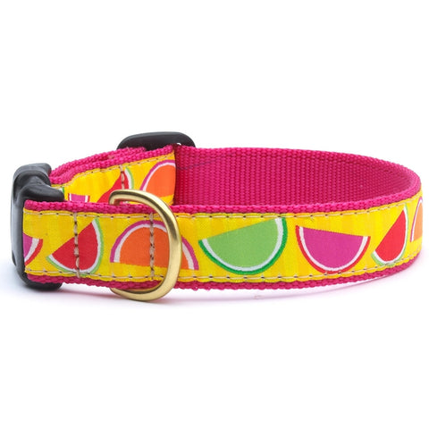 Candy Slices Dog Collar