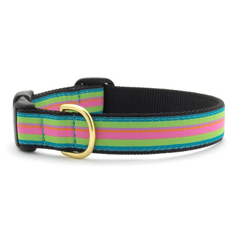 Lindsey Stripe Dog Collar