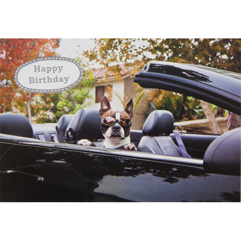 Enjoy Your Midlife Crisis Birthday Greeting Card