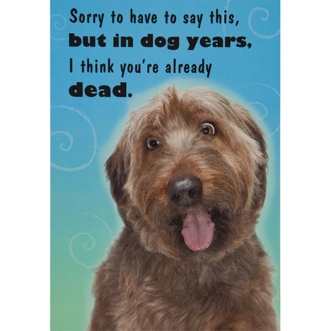 Dog Years Birthday Greeting Card