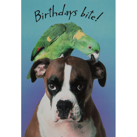 Birthdays Bite Birthday Greeting Card