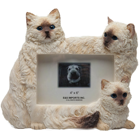 Himalayan Cats Large Picture Frame
