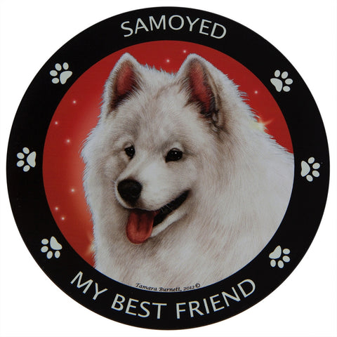 Samoyed My Best Friend Magnet