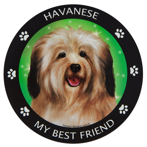Havanese My Best Friend Magnet