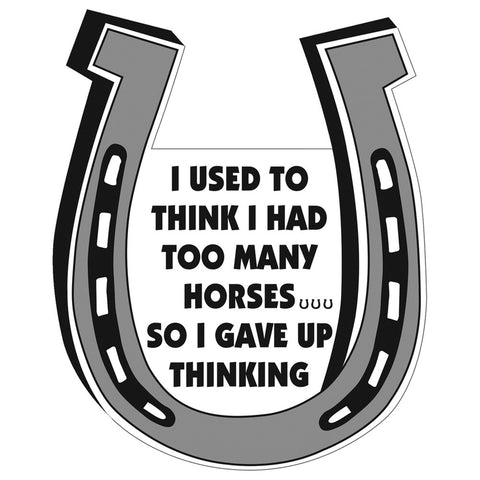 I Used To Think I Had Too Many Horses... Magnet